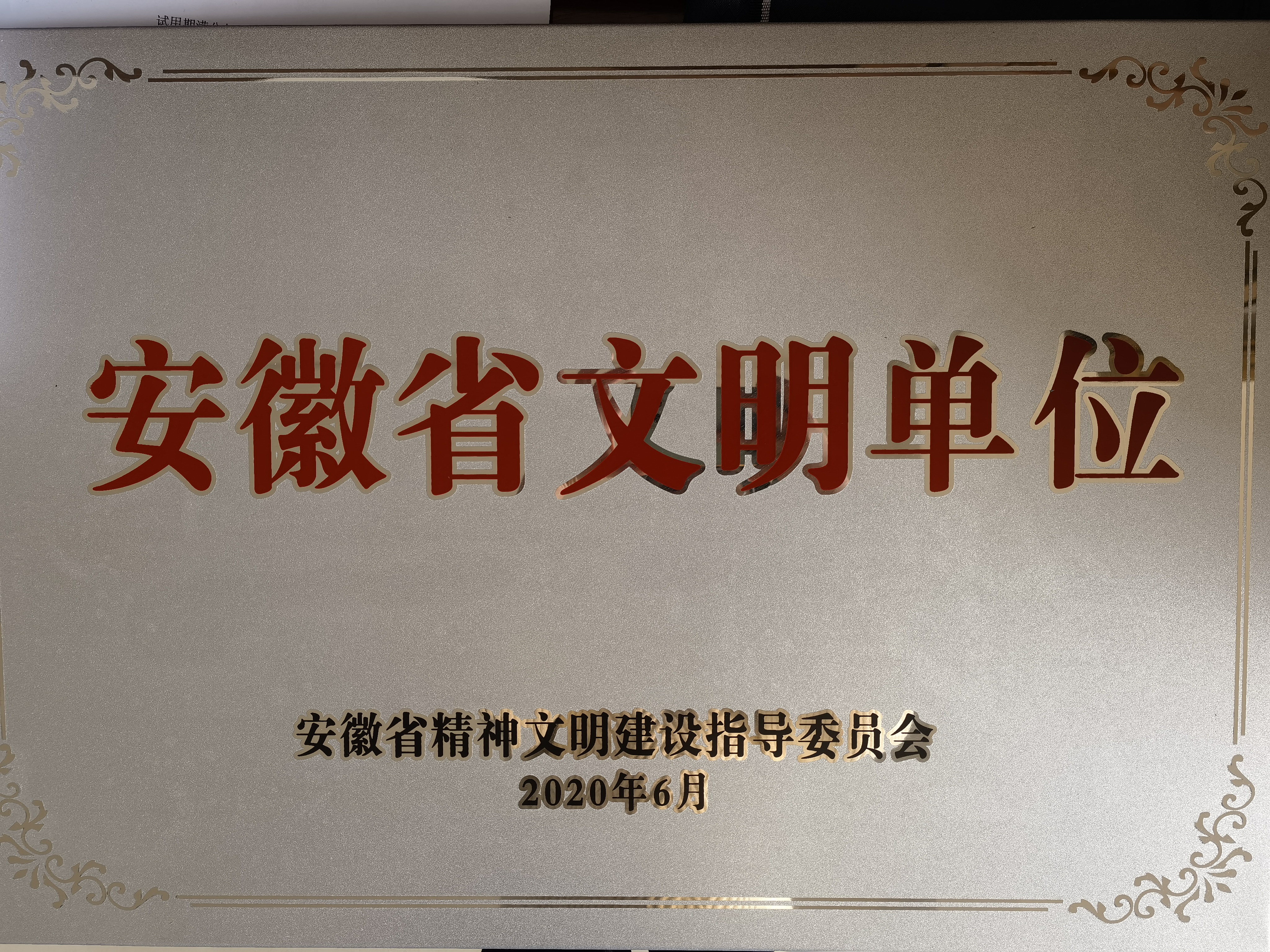 第十二届安徽省文明单位